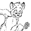 Arcticfoxes.gif