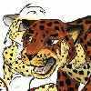 Cheetah_leopard.jpg